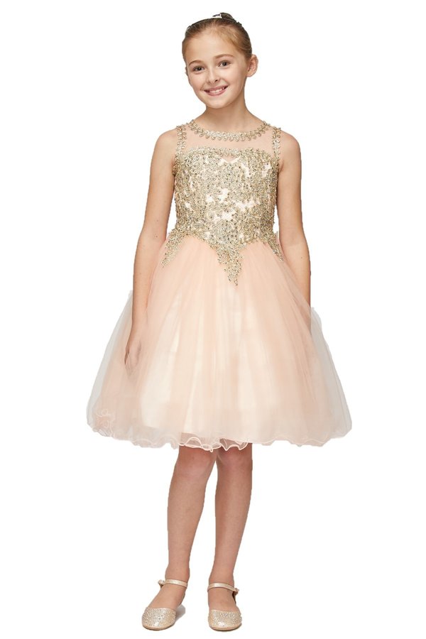 Girl elegant tulle dress with gold coil lace and rhinestone