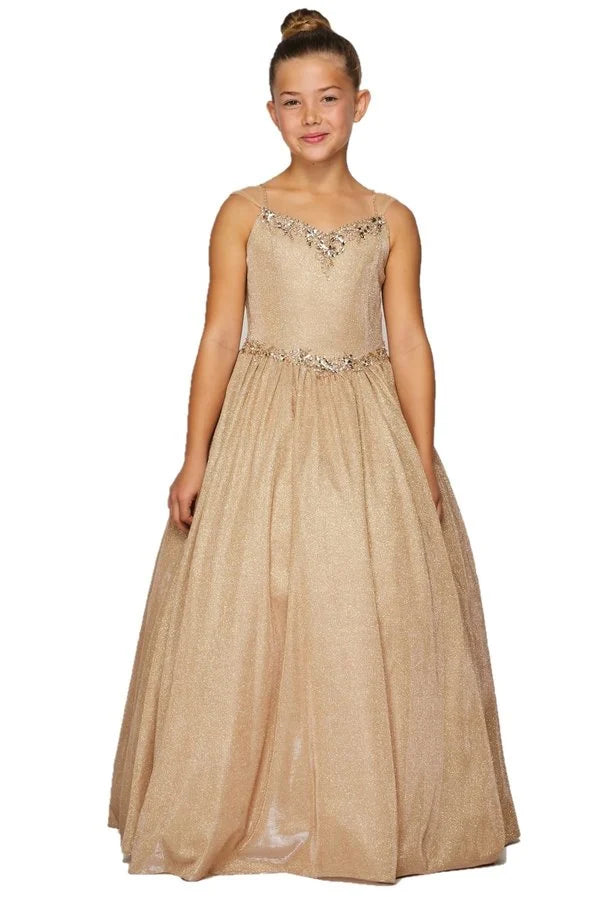 Girl elegant metallic two tone colored floor length dress with tulle cap sleeves, hand crafted rhinestones and sequins beaded on neckline and waistline