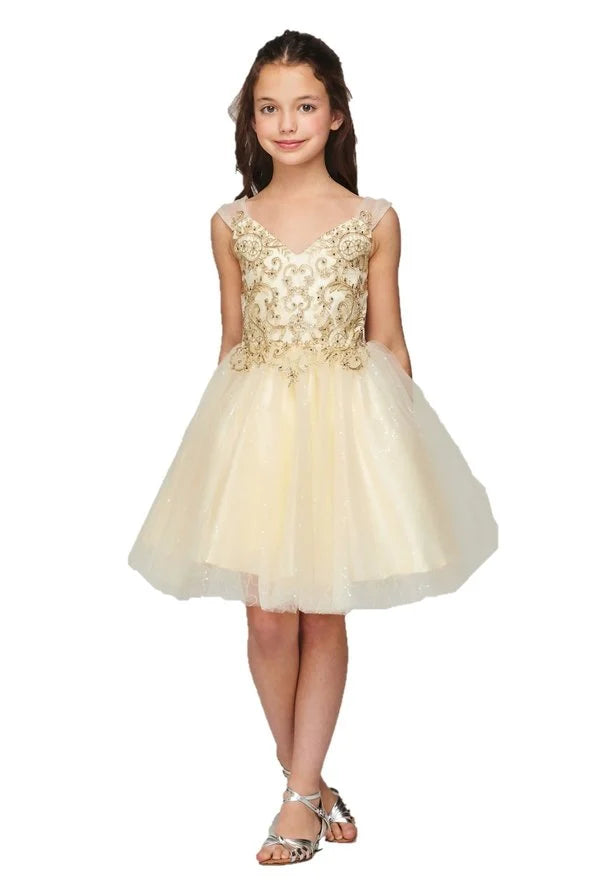 Girl V neck gold coil tulle dress