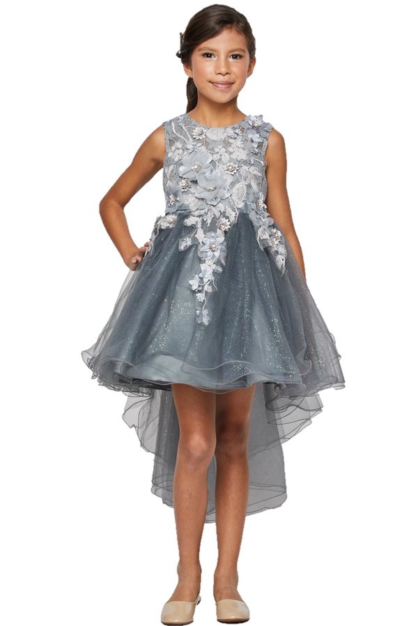 Girl sleeveless tulle low skirt dress with 3d flowers