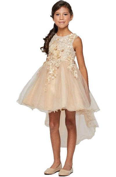 Girl sleeveless tulle low skirt dress with 3d flowers