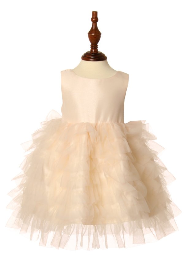 Little baby elegant tulle ruffled dress with bow