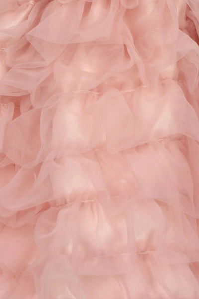 Little baby elegant tulle ruffled dress with bow